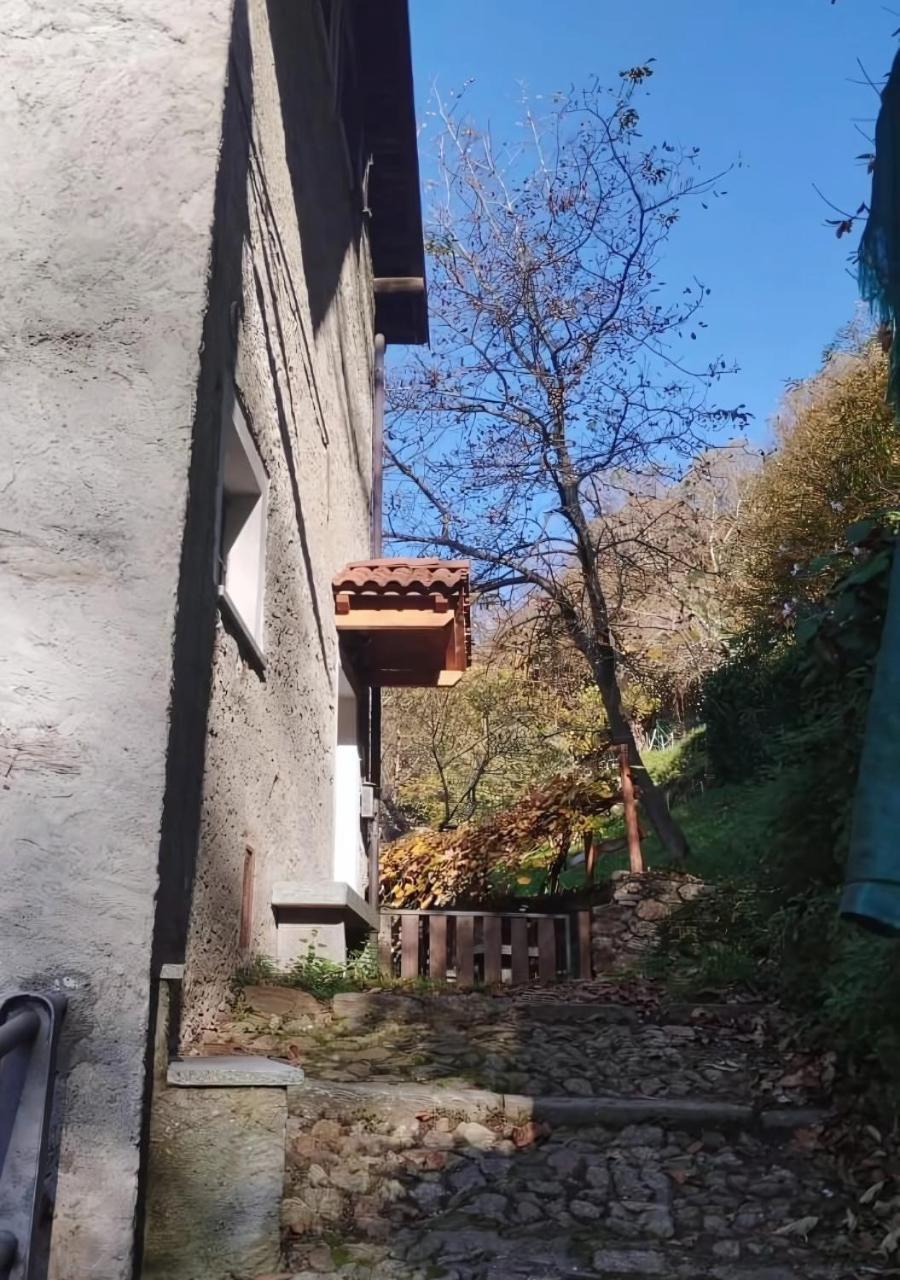 Alpaca'S House: Green, Animals & Lake View Bellano Exterior photo